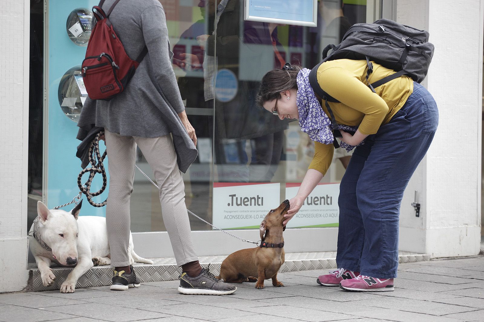 Ohh que maco... FOTO: Artur Ribera