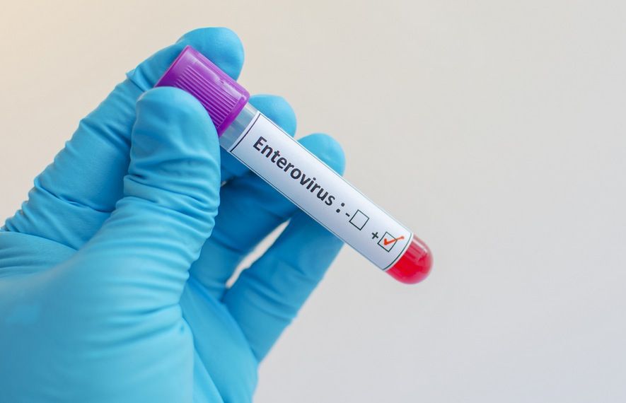 Consells davant del brot d'enterovirus  FOTO: Cedida