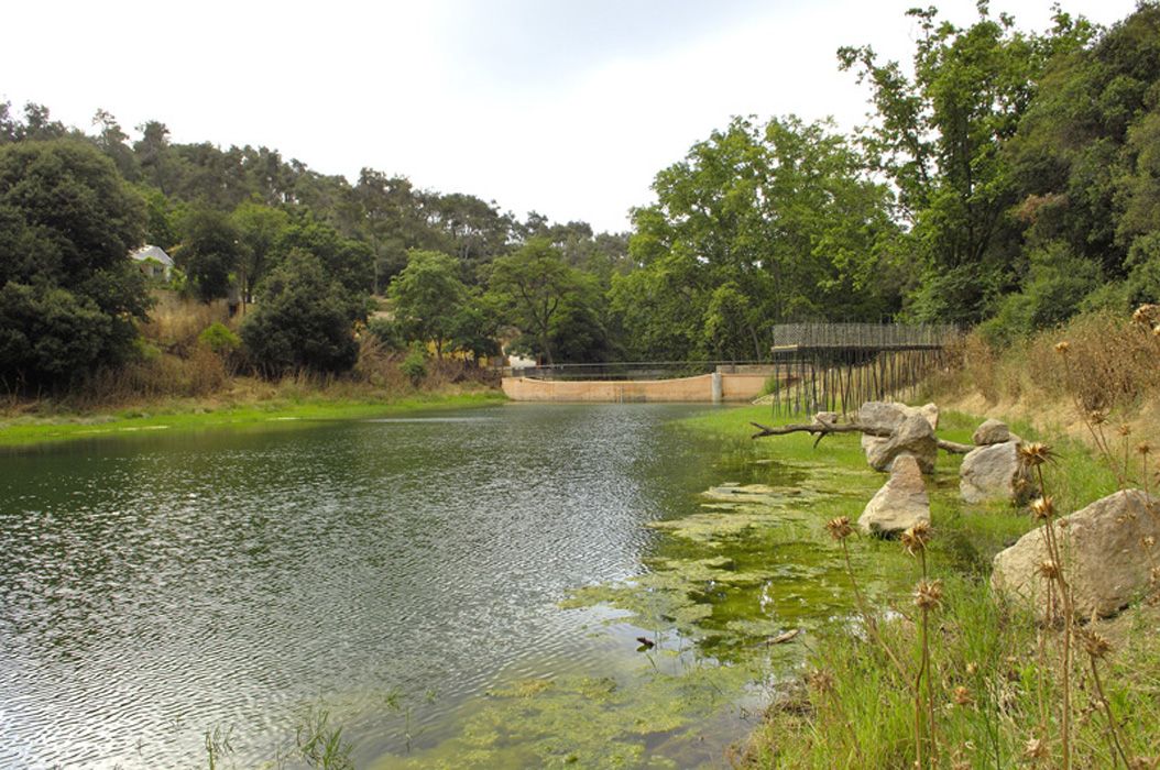 Pantà de Vallvidrera