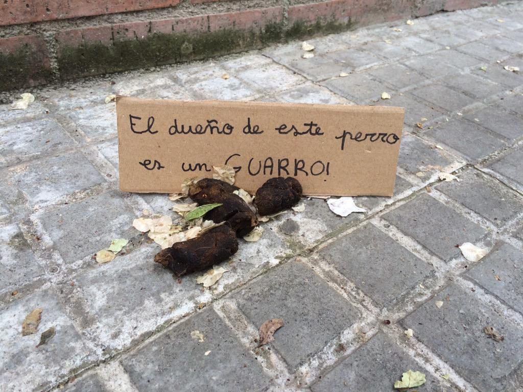 VOX vol sancionar als propietaris de gossos per no portar corretja i el material de recollida i dispersió. FOTO: Arxiu 