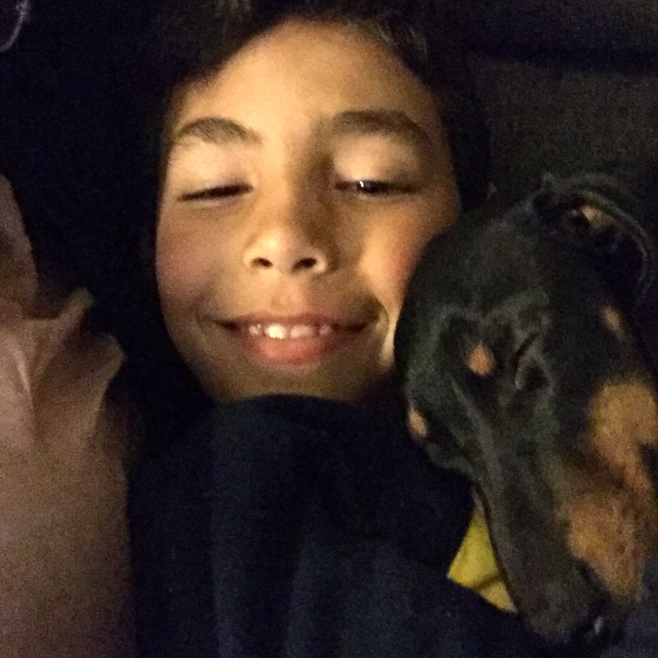 Marjorie palma Faneca