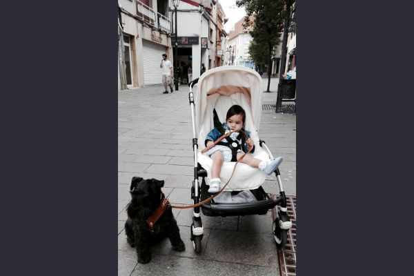 isabel ventura perex 