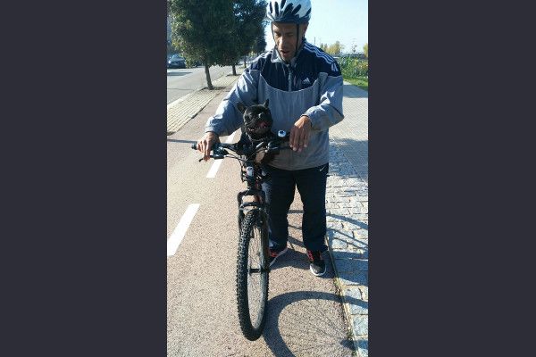 Marco Nápoles Cañedo 