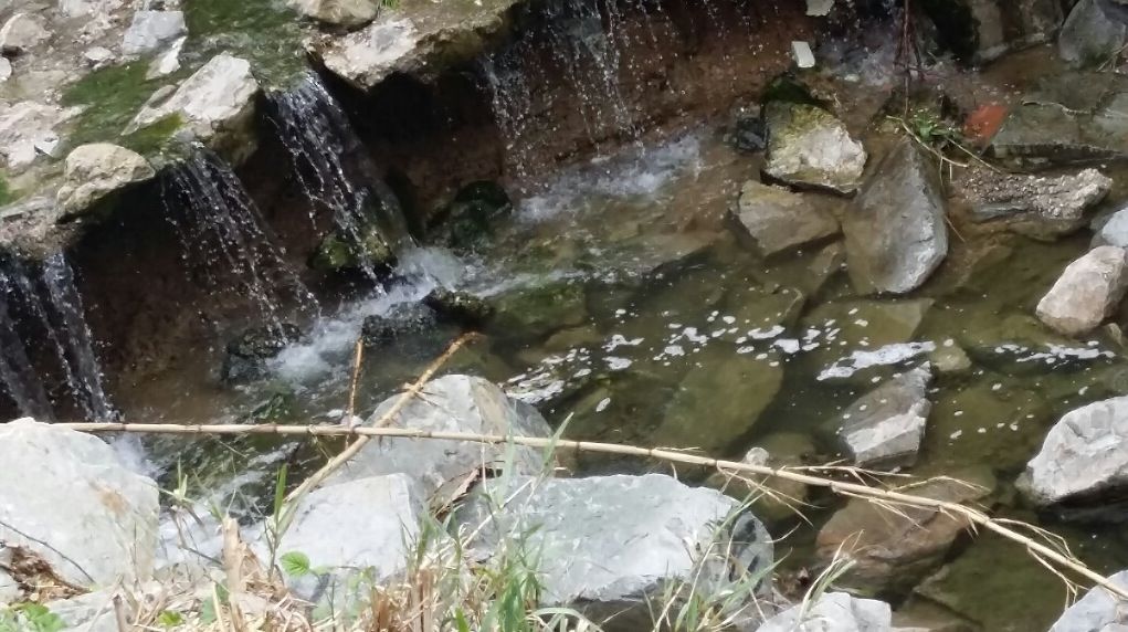 La riera al seu pas per Mas Gener  FOTO: Cedida