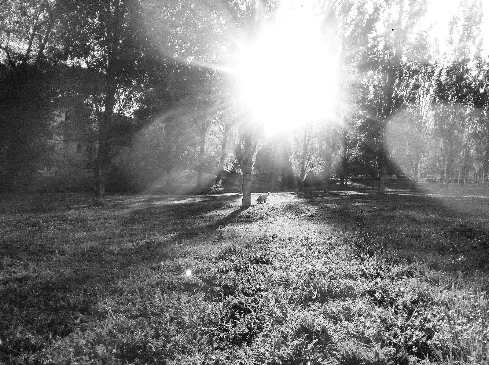 El sol serà el protagonista de la setmana FOTO: Haidy Blanch 