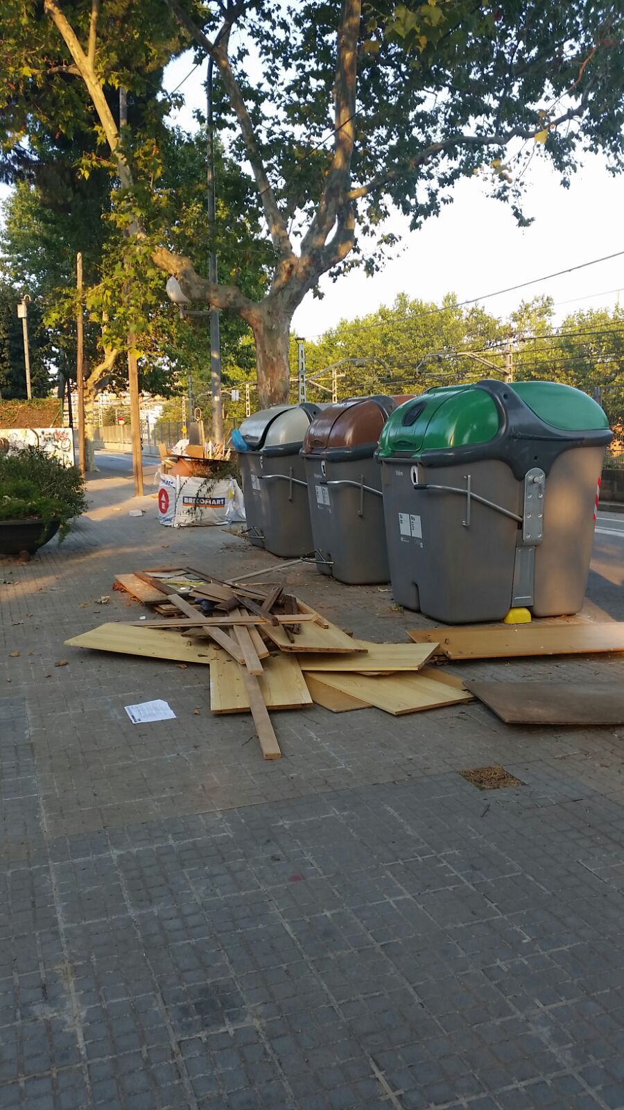 Trastos a l'avinguda del Carril FOTO: José Llamas