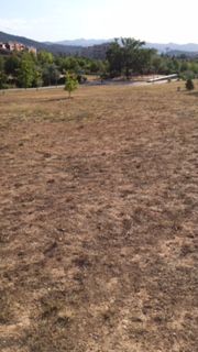 La sequera de Can Mates FOTO: Eugenio