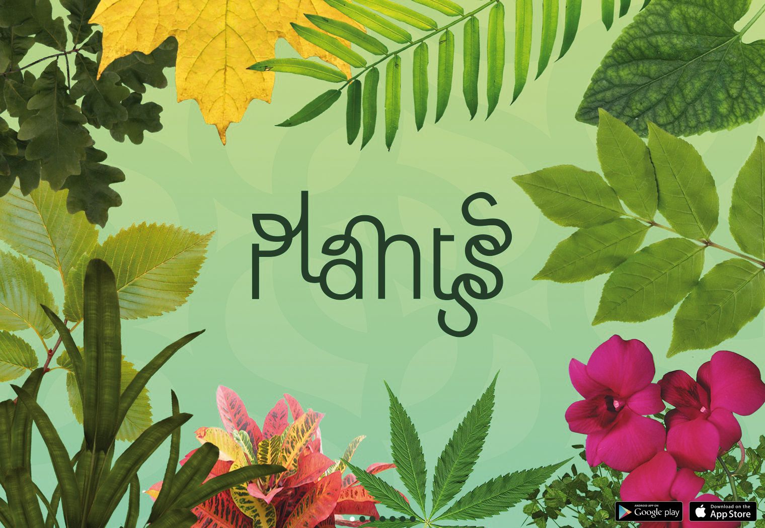 Aquesta aplicació utilitza la geolocalització per recomanar-vos plantes