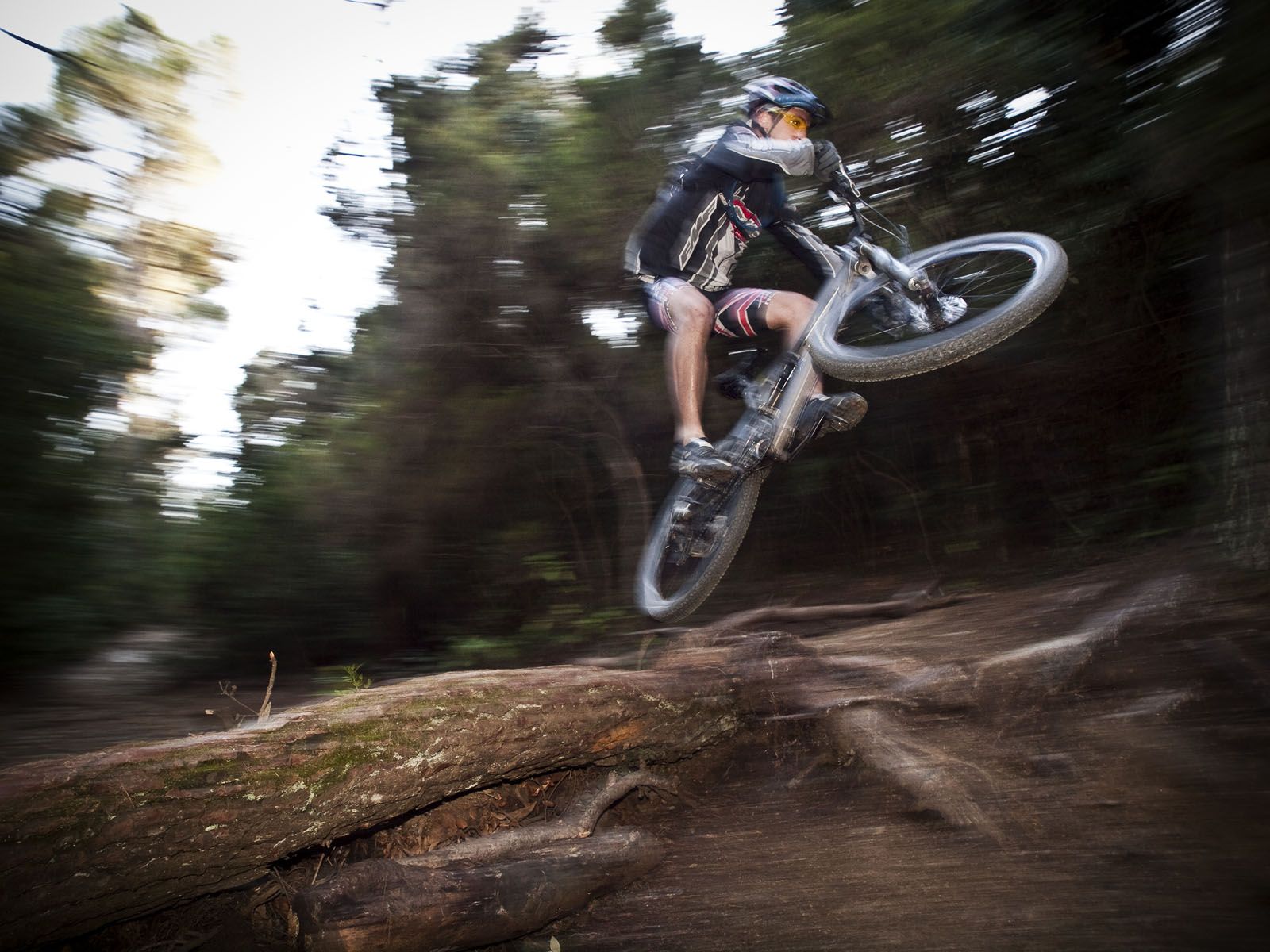 Descens amb BTT per Colserola FOTO: Artur Ribera