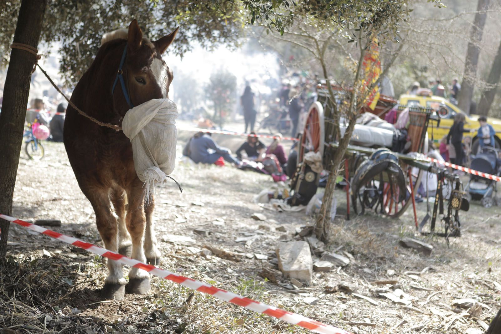 Sant Medir FOTO: Artur Ribera