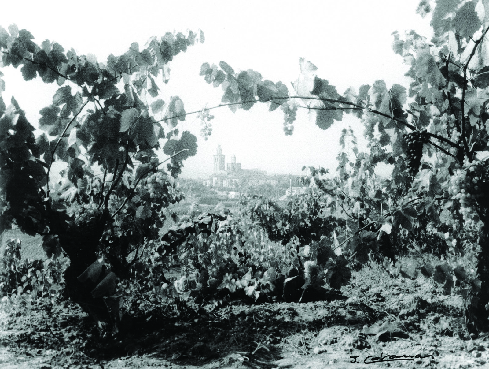 Coll favà a principis de s.XX (Autor: Joan Cabanas i Alibau, Fons Cabanas AHSCV)