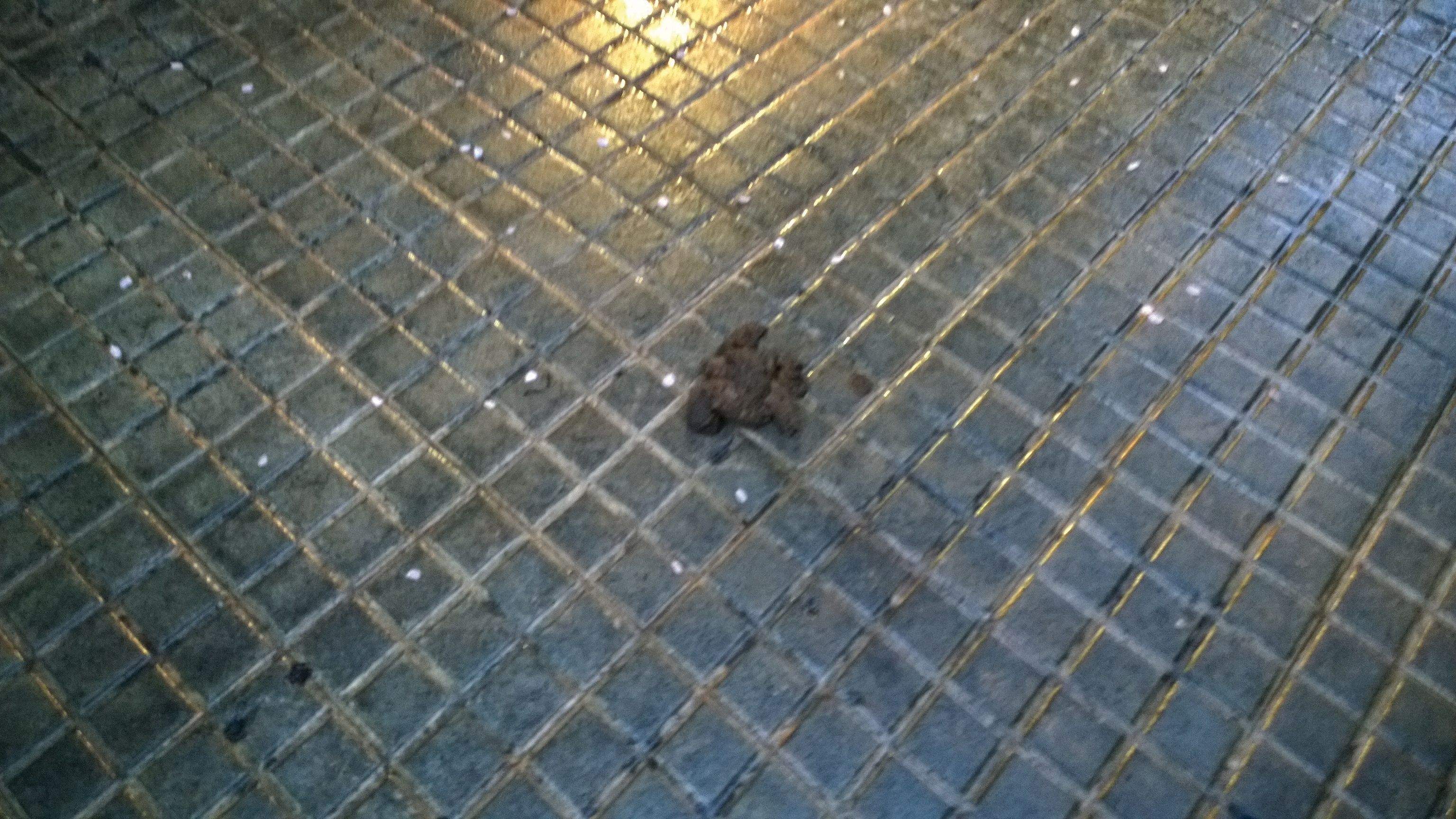 Foto: Manuel Fernandez 