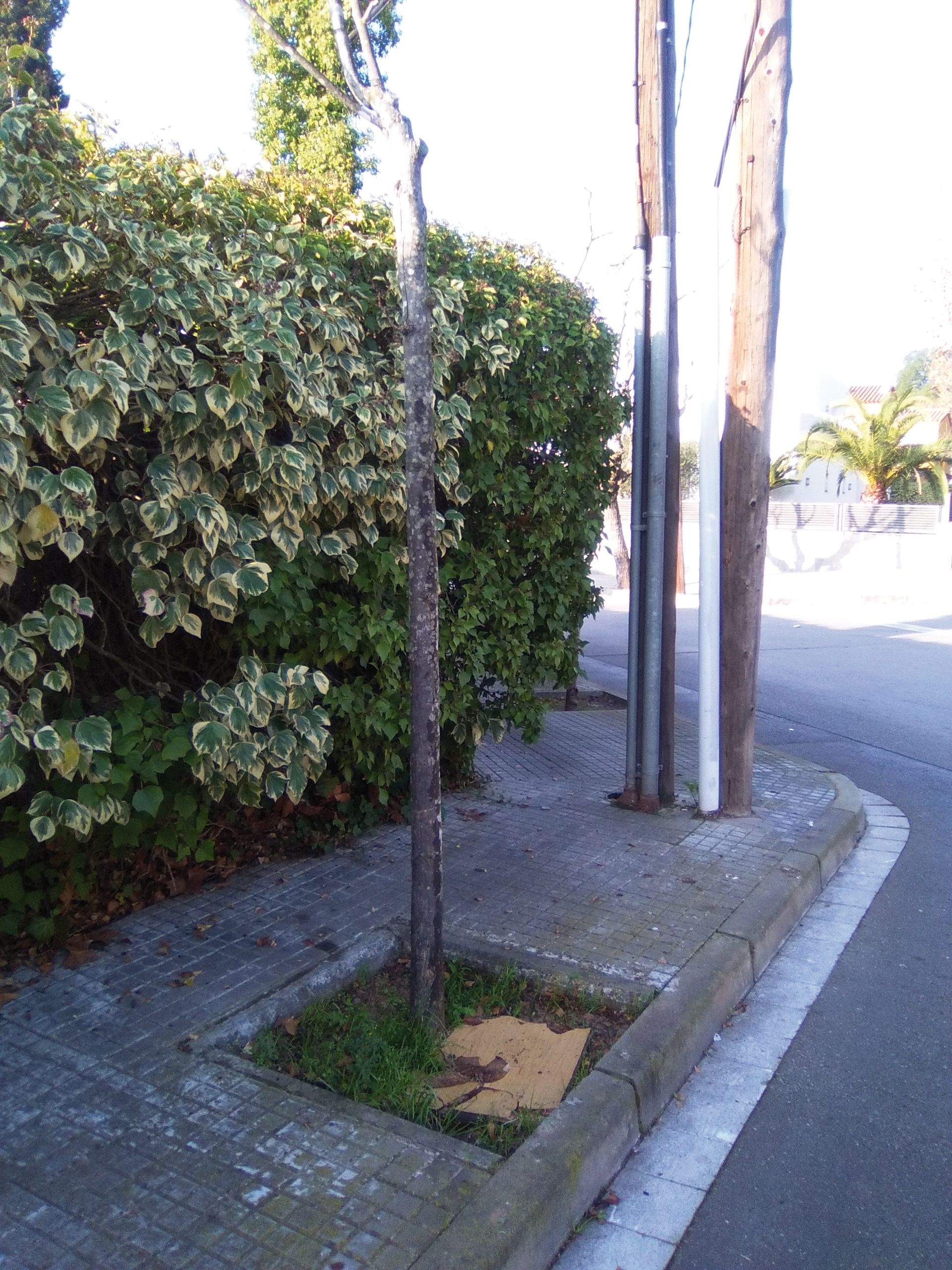 Foto: Carlos Gavaldá 