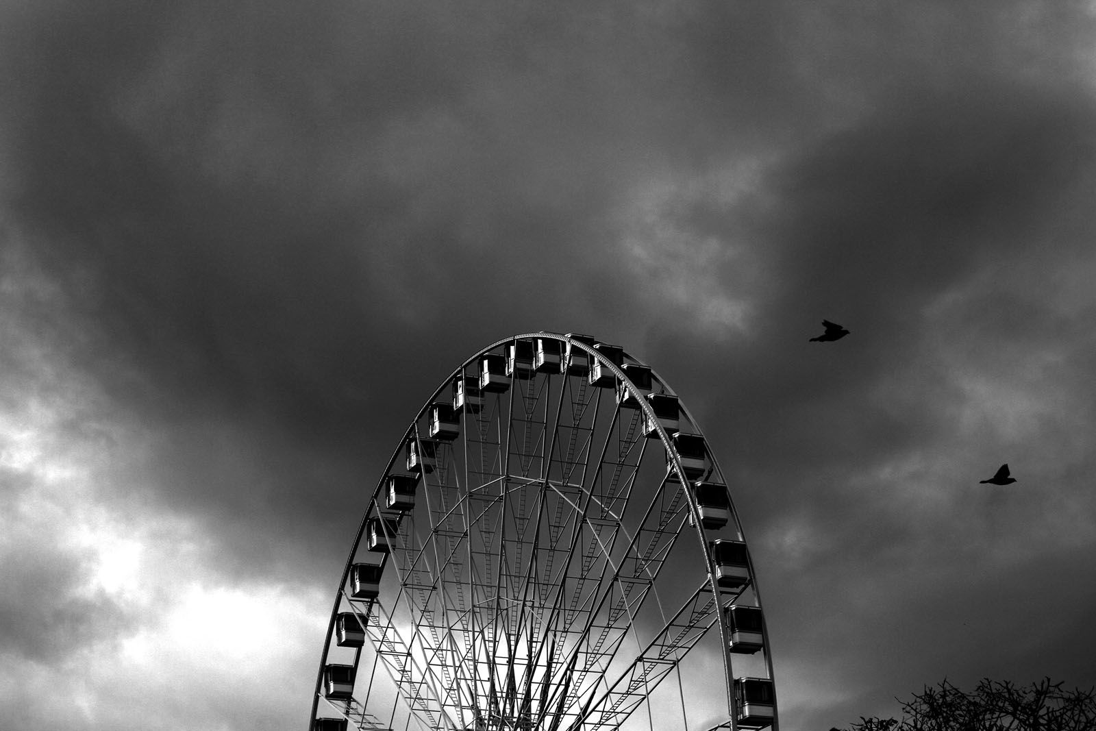Haidy Blanch  "14-10-15 a París (dia després dels atemptats) Truco a la meva mare per dir-li que tenia por. Ella em va dir “Doncs no. La vida és injusta i capritxosa. És una ruleta que no para de girar. Agafa la càmera i surt al carrer”.