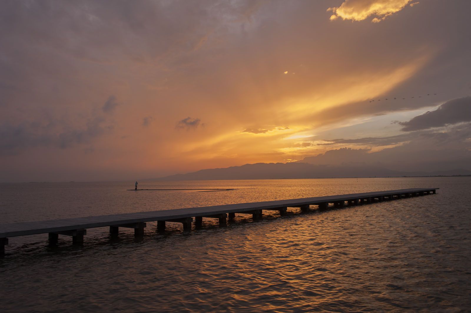 Xavier Salvans  “Capvespre al Delta de l’Ebre, a la zona del Trabucador, l’any 1997. És un dels pocs llocs als quals dic a la gent que dugui la càmera sempre a punt perquè el que veus als matins... En aquest parc he après a escoltar el silenci”.