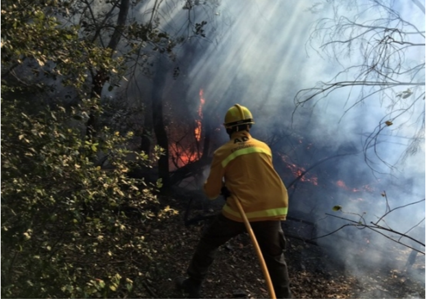 Can Bova ha patit diversos incendis aquest estiu del 2016 FOTO: Cedida 