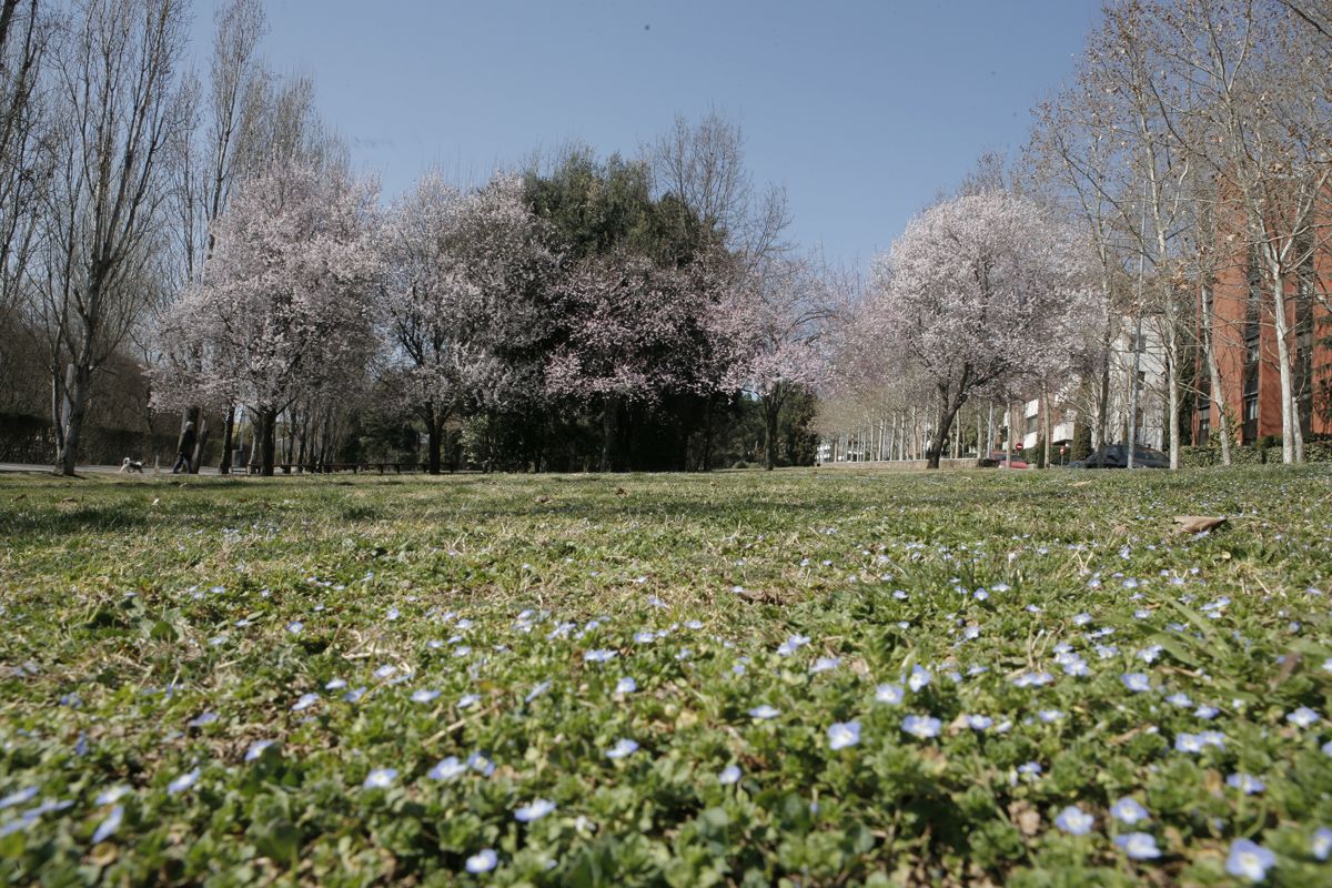 Imatge del Parc Central FOTO: Artur Ribera
