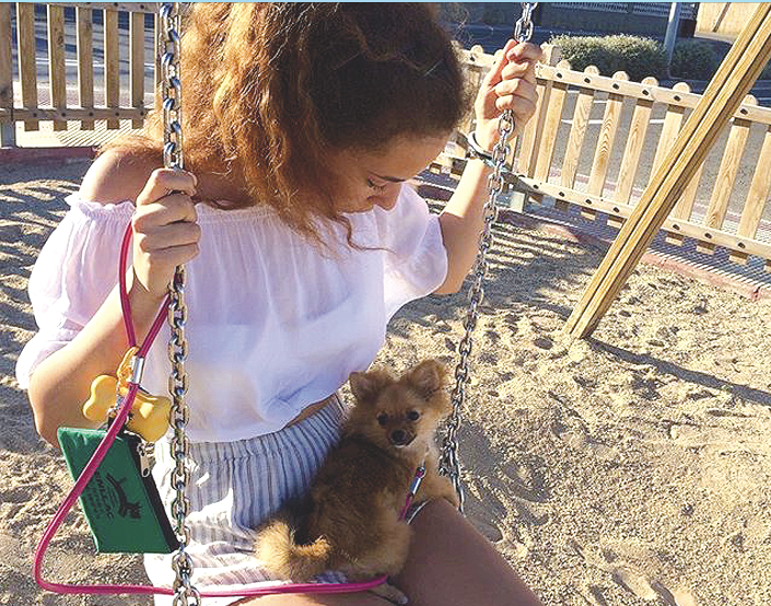 Una de les fotos presentades en l'edició d'enguany 