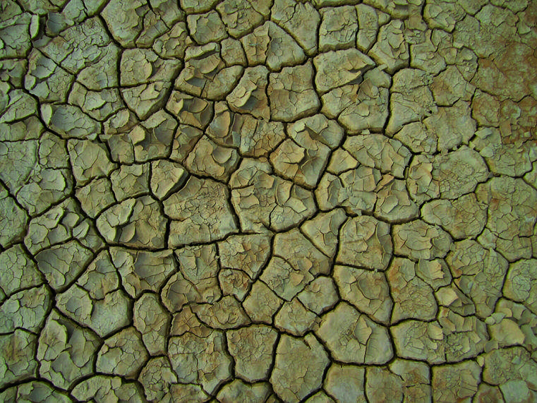 Aquesta any estem vivint una forta sequera