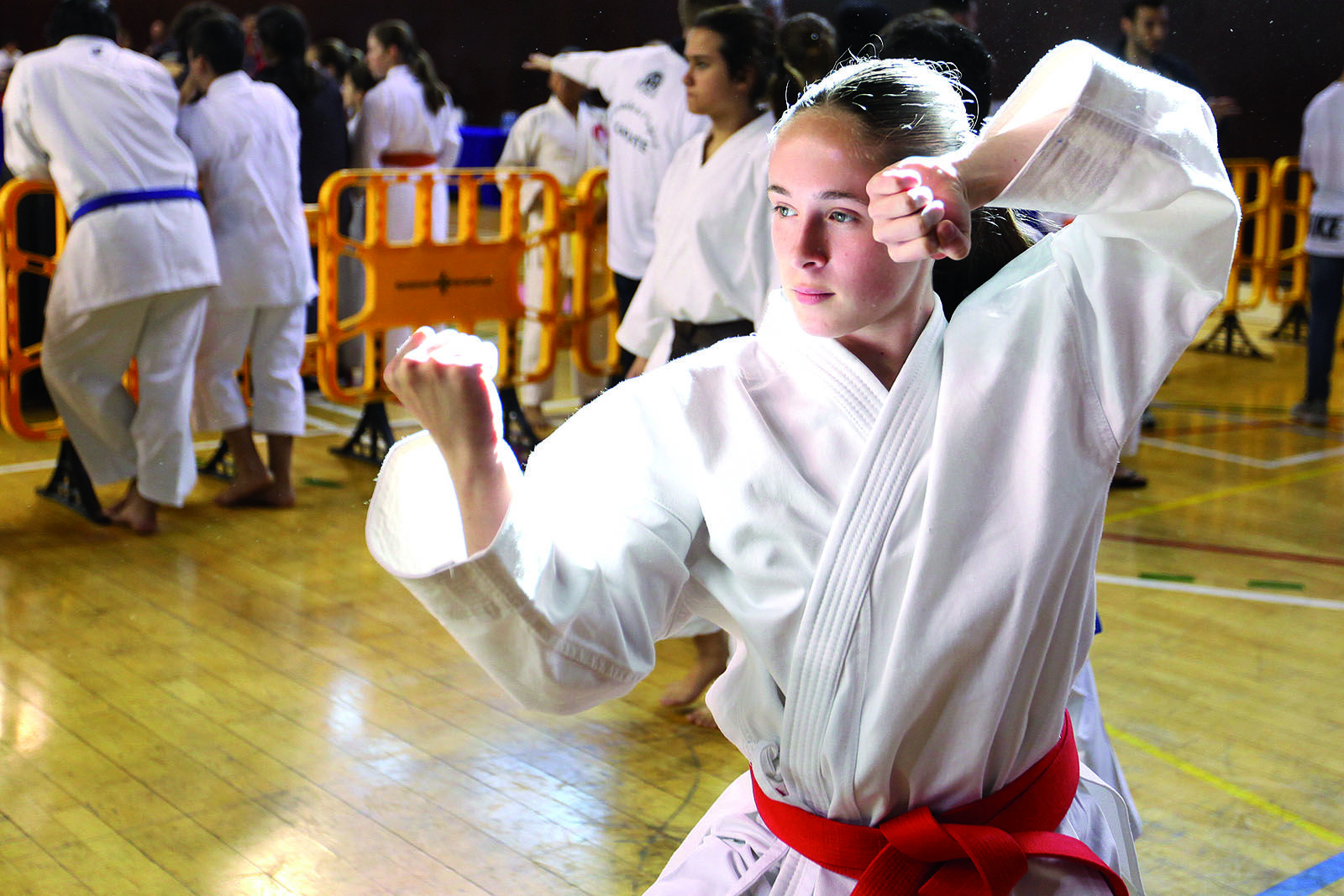 Torneig Ciutat de Sant Cugat de Karate FOTO: Lali Puig