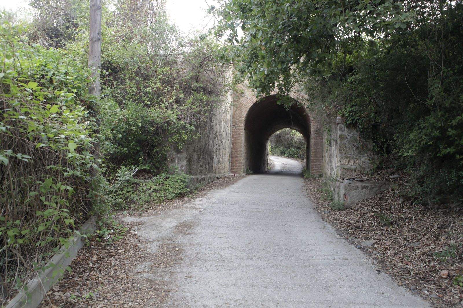 El pont que dona accés a la zona del passatge de les Aigües de Sabadell FOTO: Artur Ribera 