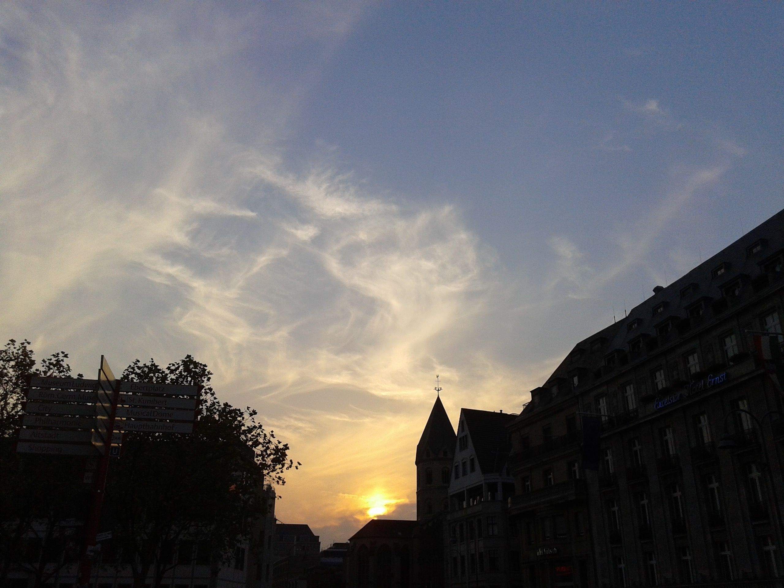 AINA CASADEMONT ROCA - L'últim capvespre