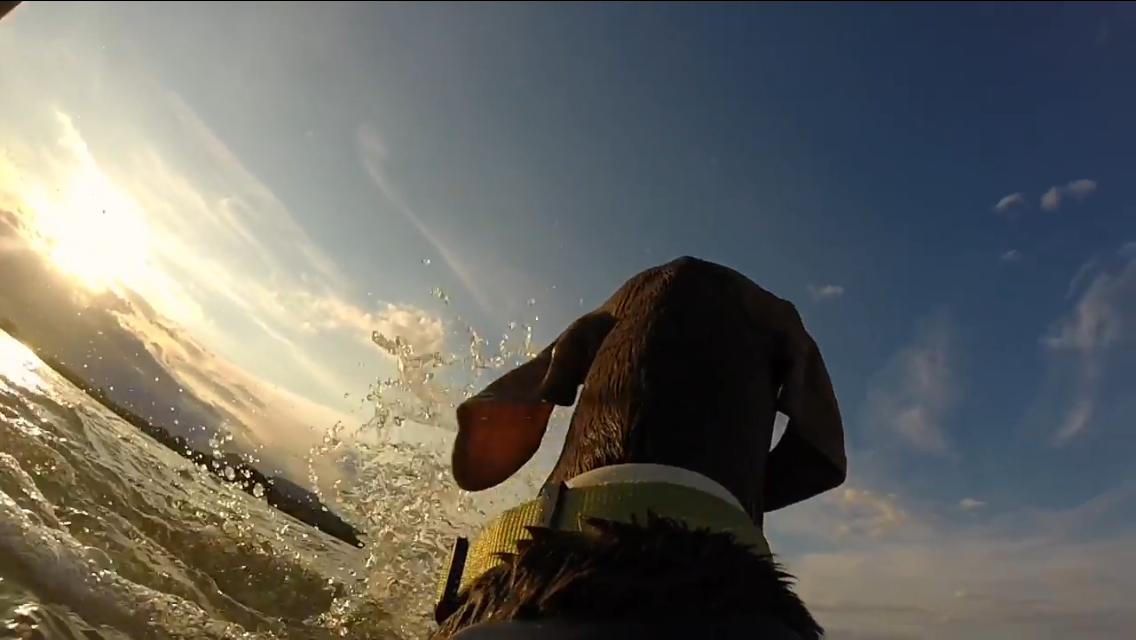 Cristina Gálvez - Rita 2