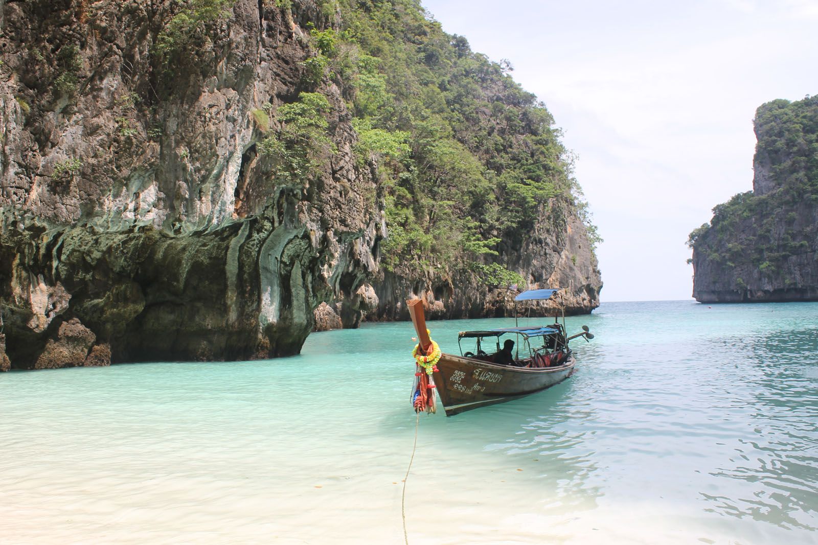 Alba Bermúdez Jiménez - Benvinguts al paradís