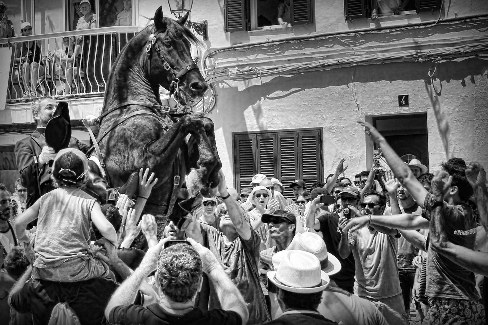 M. Sergio López Conde - Festa a cavall.