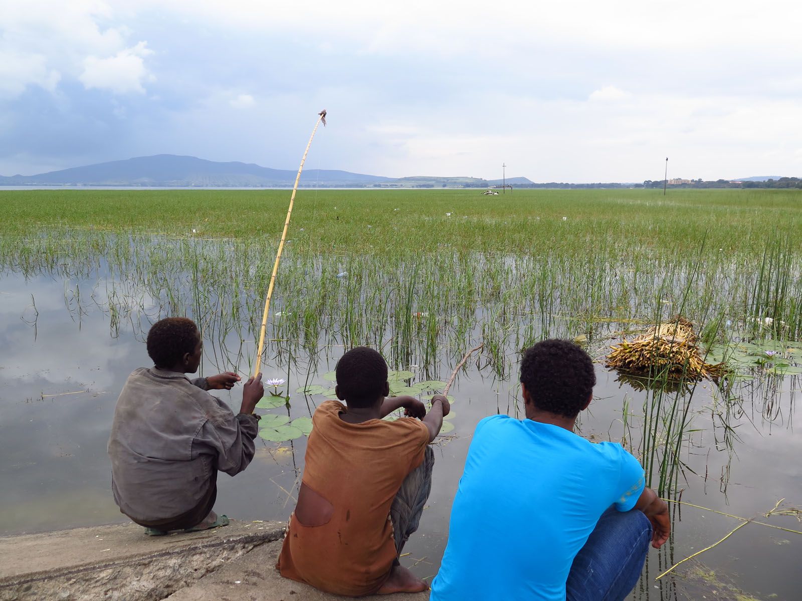Andrea Hom Díaz - Llarga espera