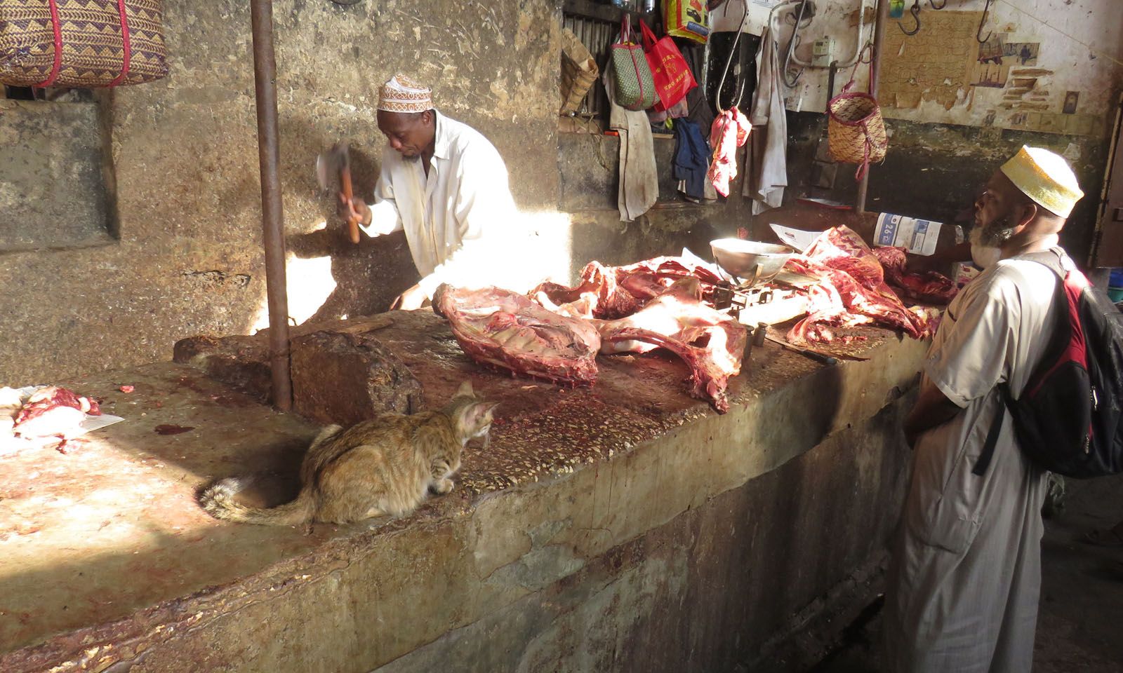 CRISTINA TORTOSA MOROS - CARNISSERIA A ZANZIBAR