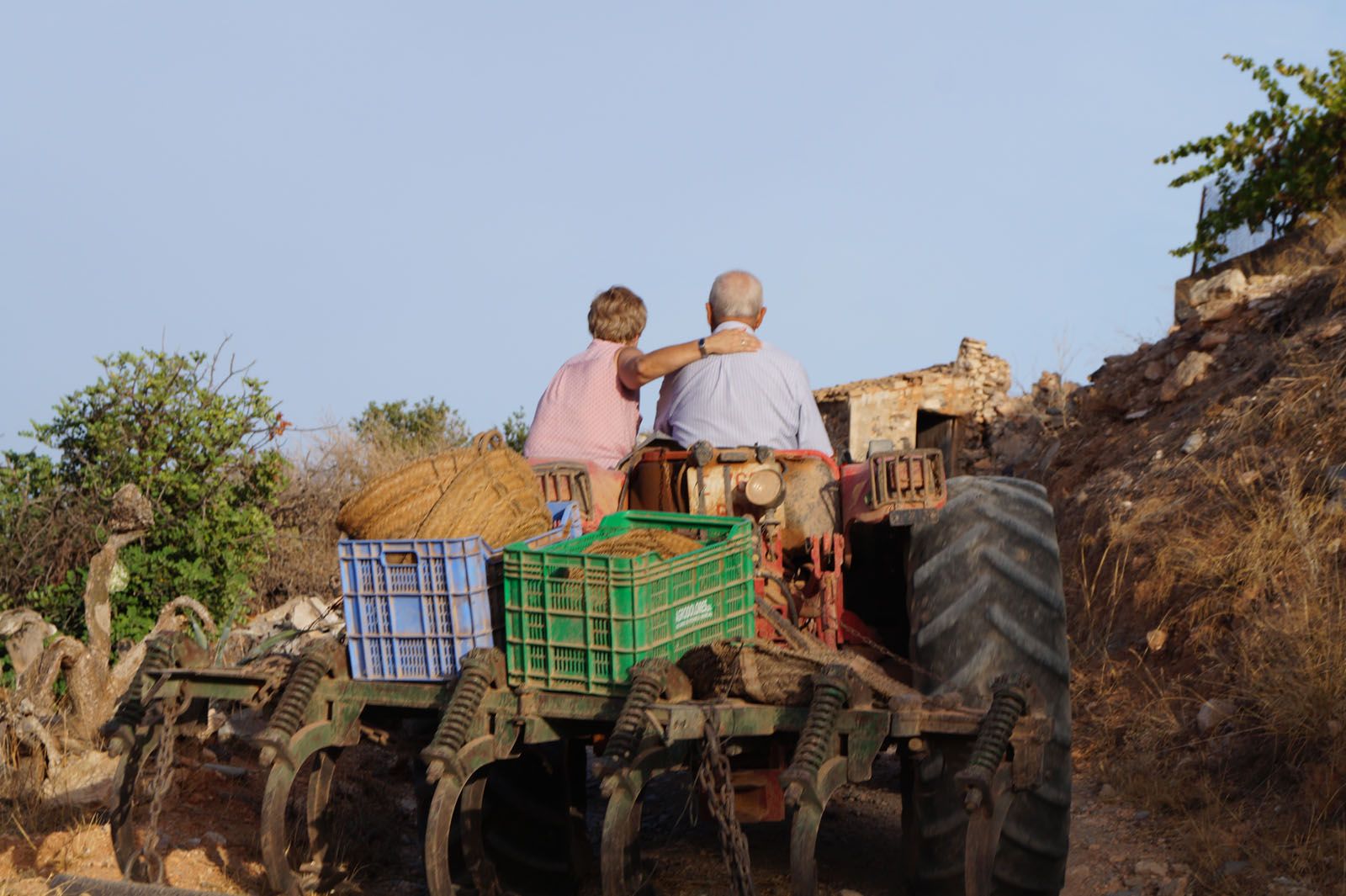 Ginesa Cañavate García - Generacions