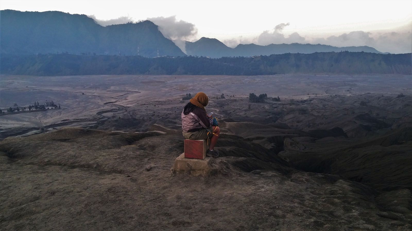 Carolina Muscatelo Rius - Discotomía del contacte humà