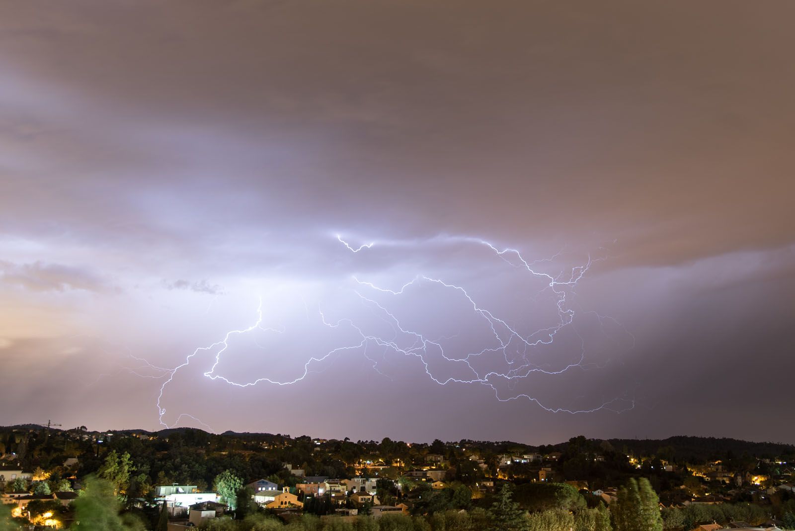 Antoni Zamora Fernandez  
