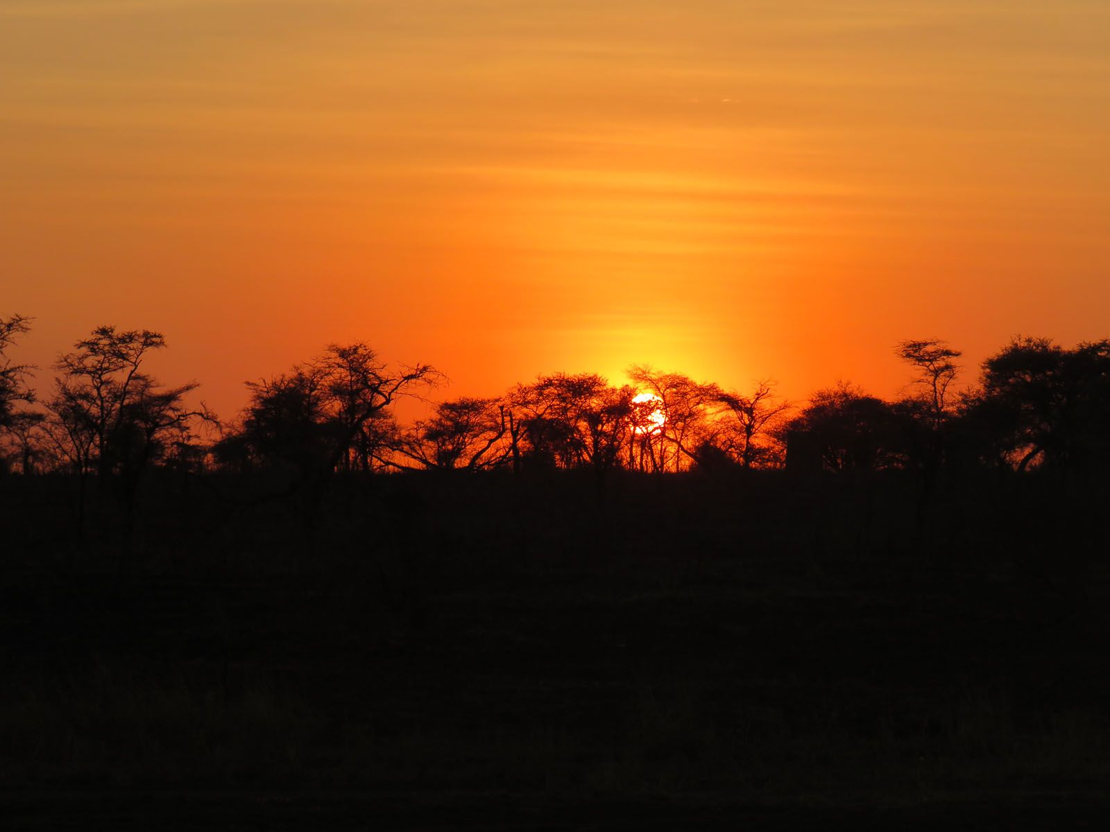 ALEX FERRANDIZ HERNANDEZ - POSTA DE SOL AL SERENGETI