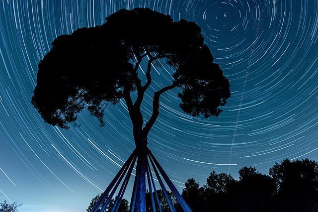 @oskerwyld - Una nit al pi d'en Xandri