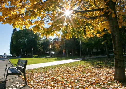 Aquest podria ser un dels setembres més calorosos de les úlitmes decles FOTO: Artur Ribera 