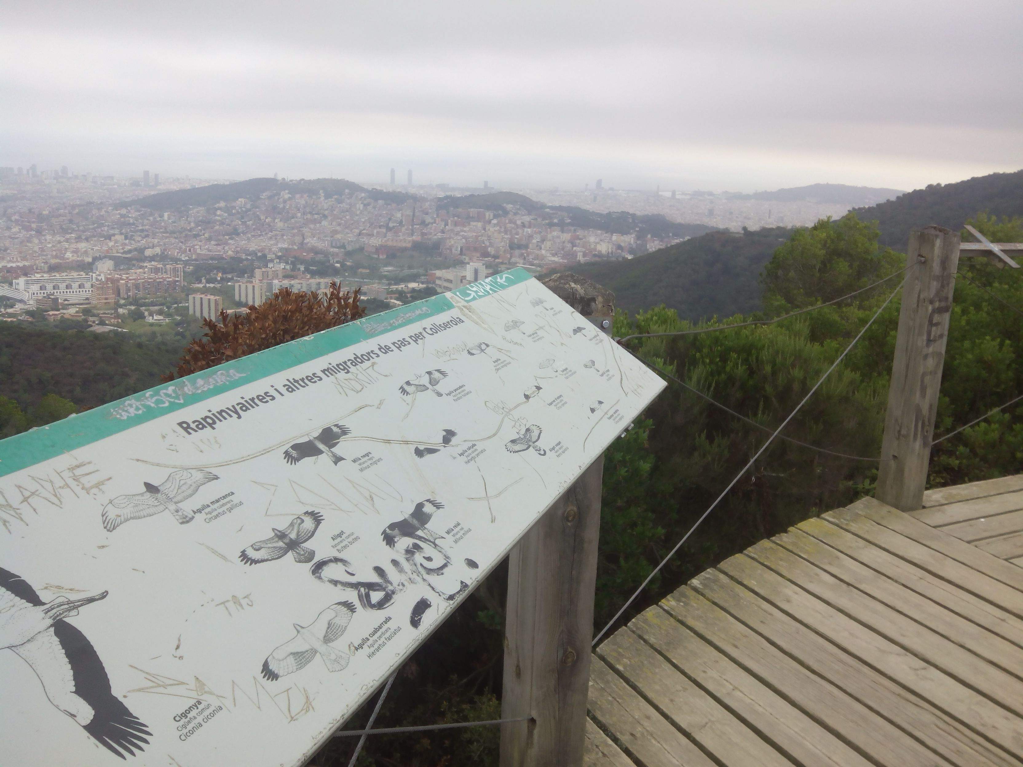 El Turó de la Magarola és el principal punt d'avistament d'aus migratòries a Collserola FOTO: Bernat Bella