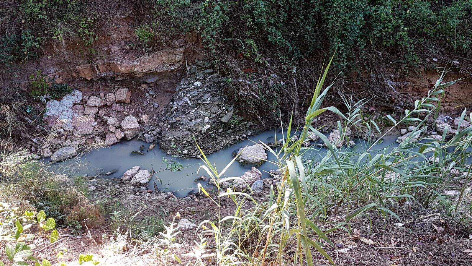 L'aigua que baixa per la riera en determinats moments del dia  FOTO: M. Cervantes
