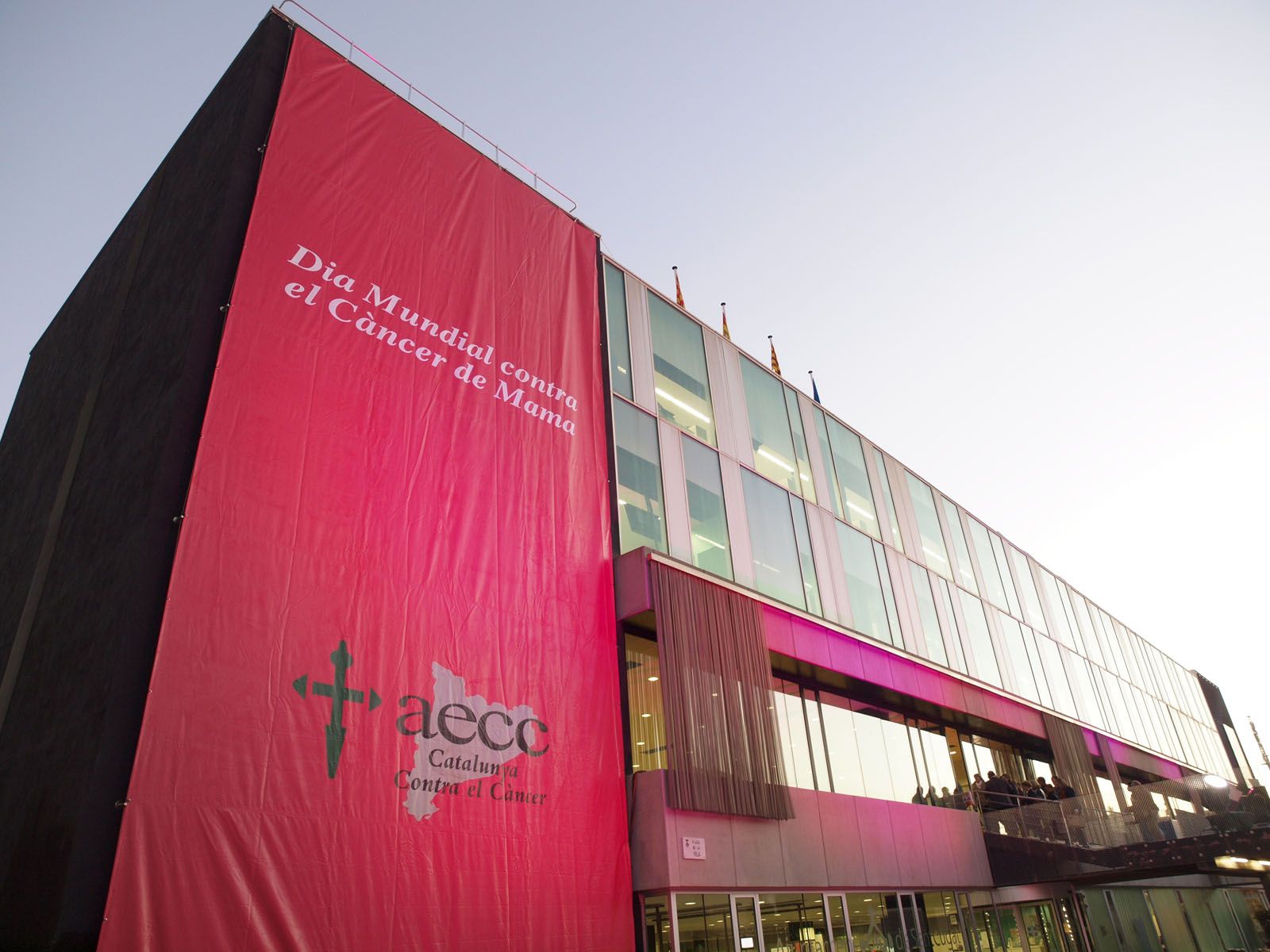 Cada any, l'Ajuntament llueix el llaç que simbolitza la lluita contra aquest càncer FOTO: Artur Ribera 