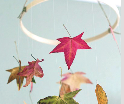 Imatge del mòbil FOTO: Cedida