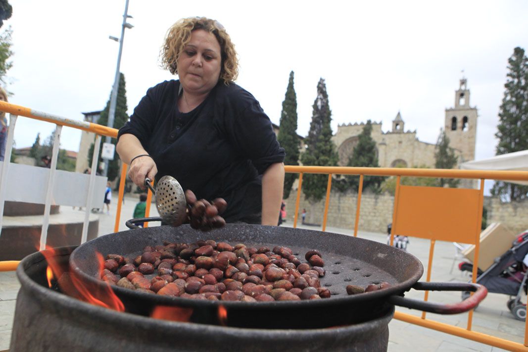 La castanyera de la plaça d'Octavià FOTO: Artur Ribera 