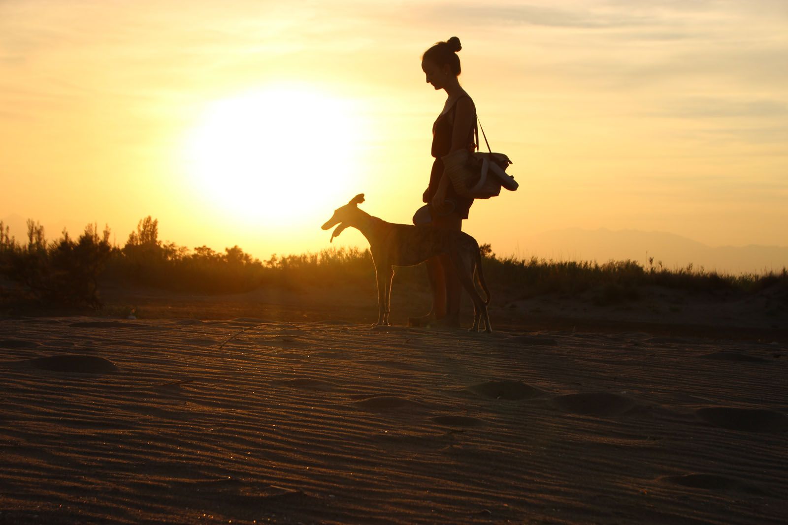 3r Premi MASCOTA I JO,  "La fidelitat a contrallum" L'Empordà, Autor: Júlia Marquès