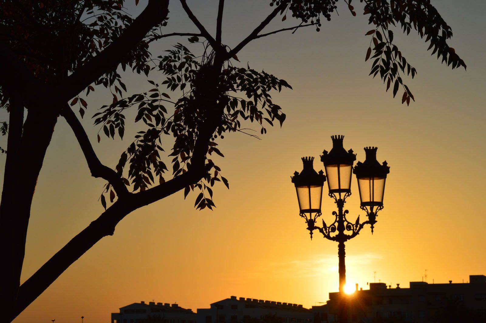8è Premi LLEURE, "Canvi de llum a Ciutadella" Córdoba, Autor: Julio Carmona