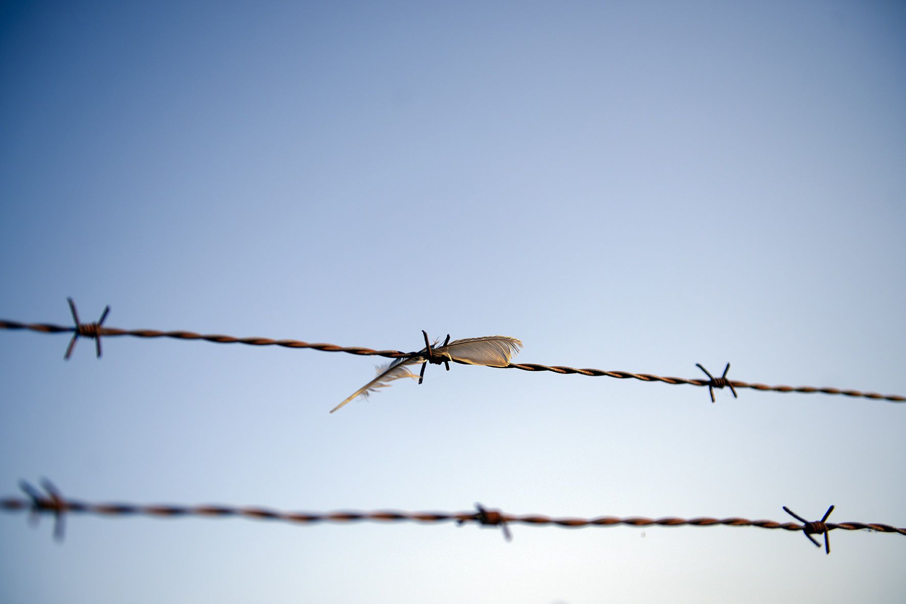 1r Premi LLEURE,  "La libertad" Sant Cugat, Autor: Geraldine Koninckx