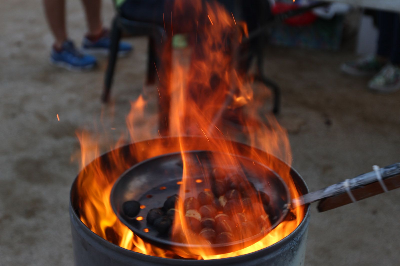 "LLum de tardor" FOTO: Haidy Blanch