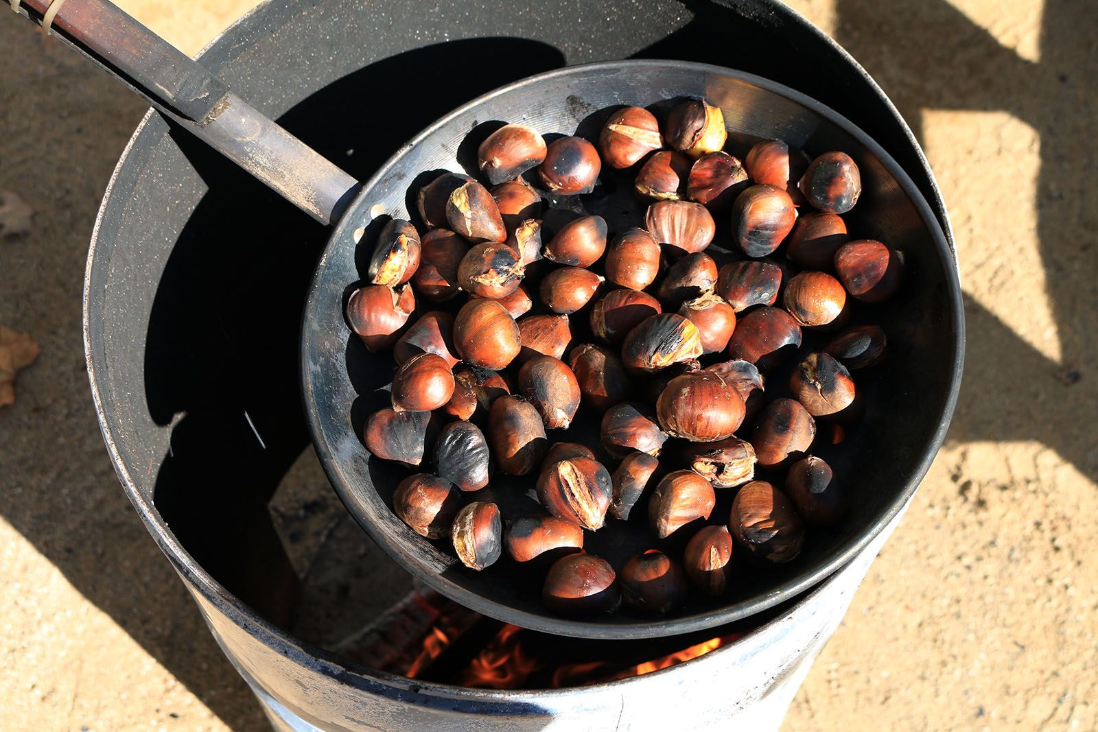 Castanyada Pim pam pum a la plaça Barcelona. Foto: Lali Álvarez