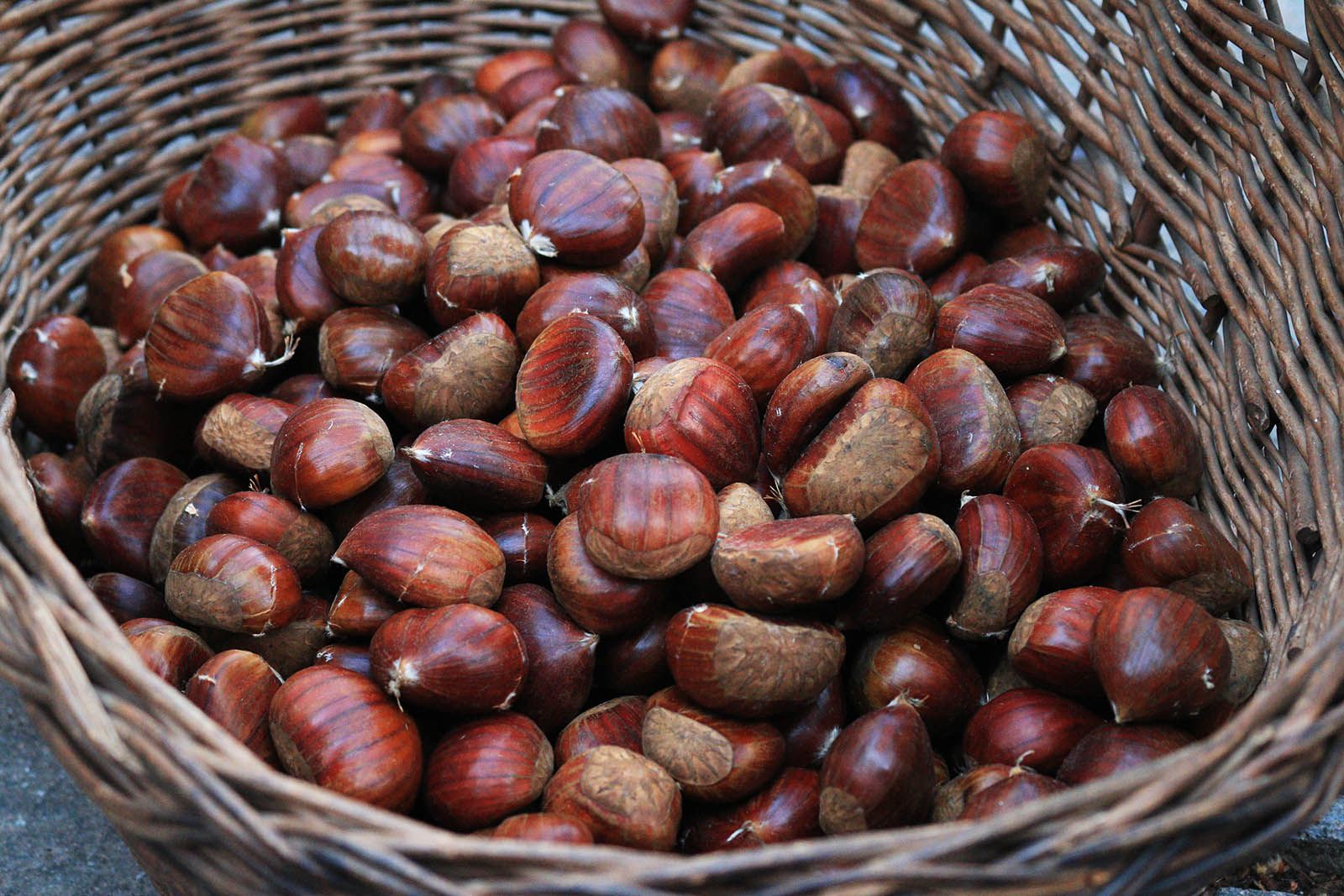 Castanyada a Sant Cugat. Foto: Lali Álvarez