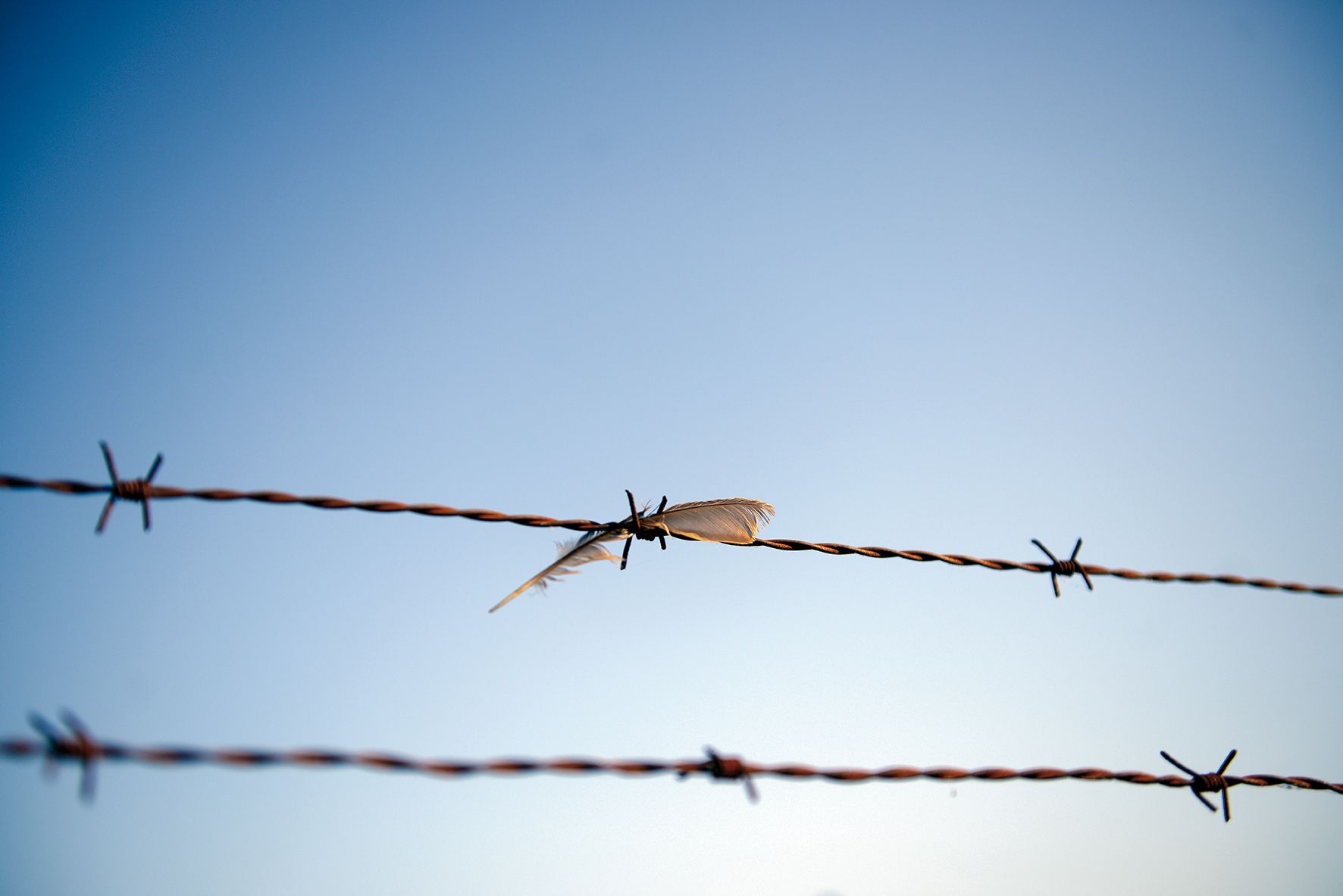 Foto guanyadora del TOT Fotoportada 2016