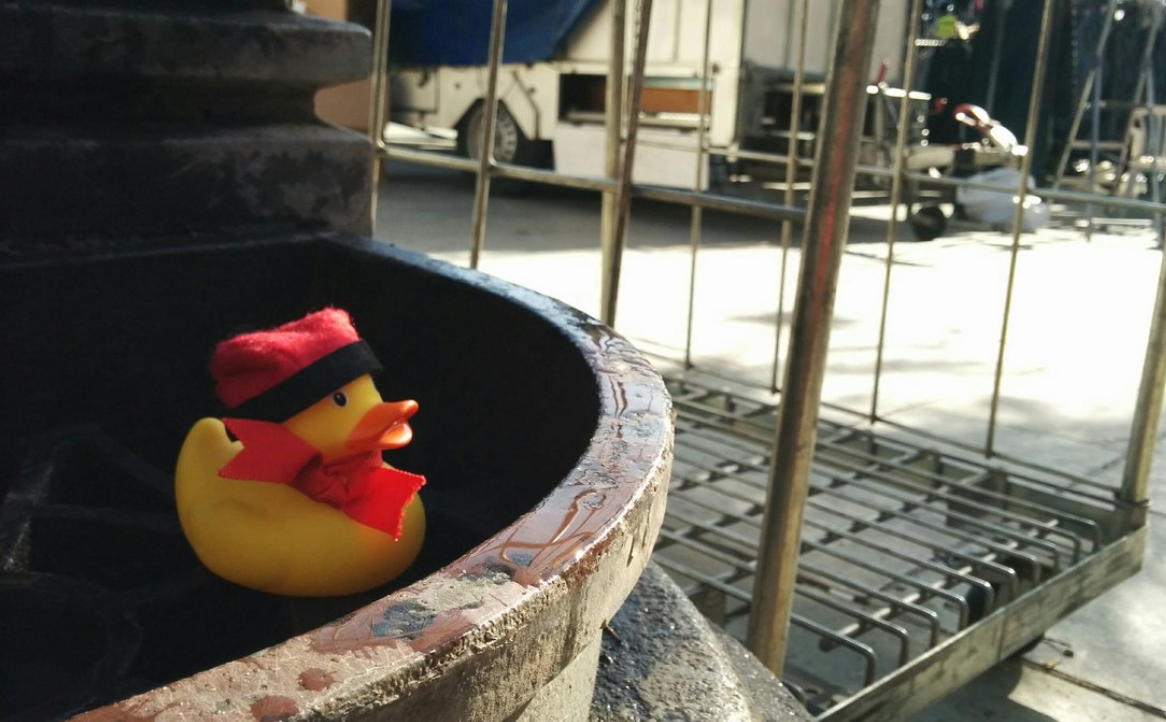 L'ànec a la font del Monestir FOTO: @saupanchez